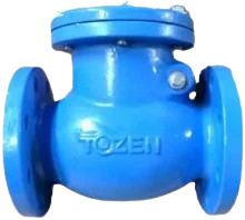 Tozen Check Valve